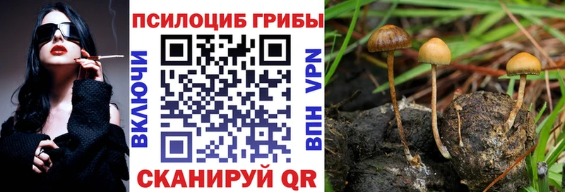 Галлюциногенные грибы мухоморы  Купить закладки  Туапсе 